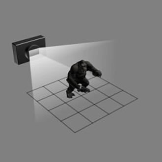 Metashape Standard